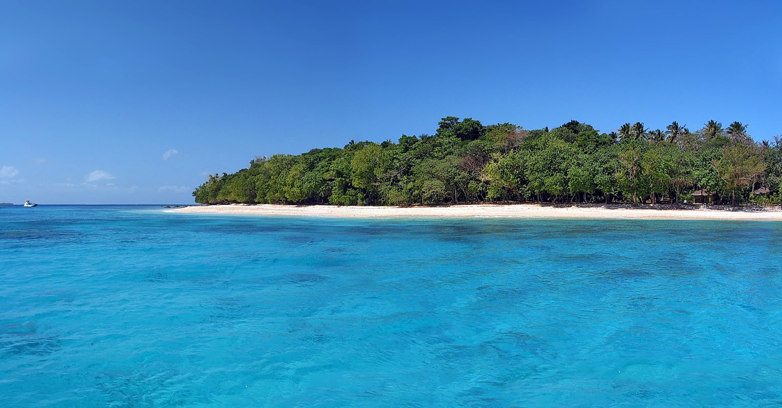 WHALE ISLAND RESORT